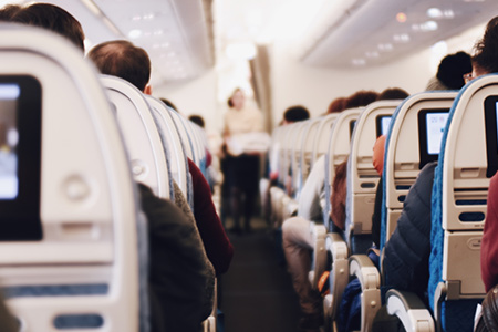 Ihre Haustiere sind bei uns in guten Händen